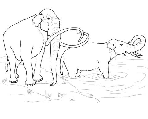 Columbian Mammoth Coloring page