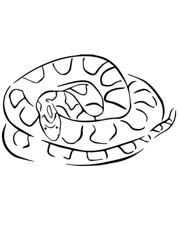 Corn Snake Coloring page