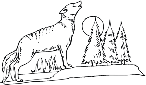 Coyote howling at the moon Coloring page