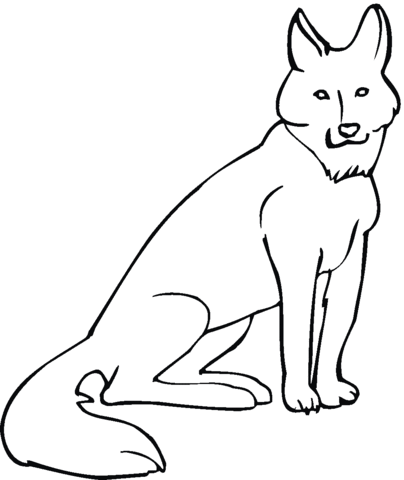 Coyote Coloring page