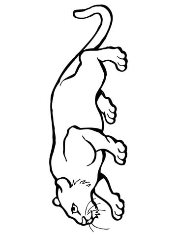 Crouching Cougar Coloring page