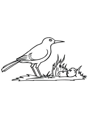 Crow on the Ground Coloring page