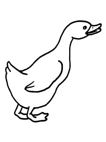 Curious Goose Coloring page