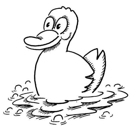 Cute Duck Coloring page