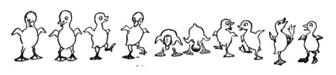 Dancing Ducks  Coloring page