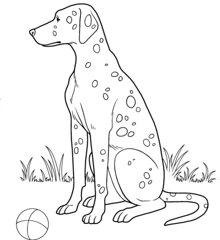 Dalmatian  Coloring page