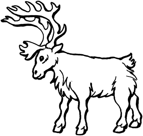 Deer 5 Coloring page