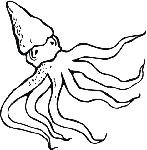 Octopus 10 Coloring page