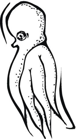 Octopus 6 Coloring page