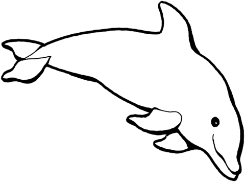 Dolphin 1 Coloring page