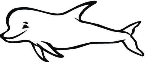 Dolphin 19 Coloring page