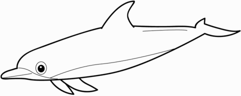 Dolphin Coloring page