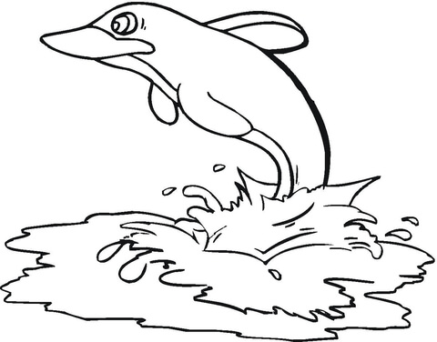 Dolphin In The Sea  Coloring page