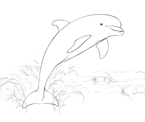 Dolphin Jumping from Water Coloring page