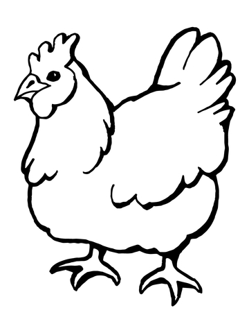 Domestic Hen Bird Coloring page