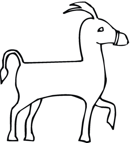 Donkey 17 Coloring page