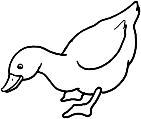 Duck 1 Coloring page