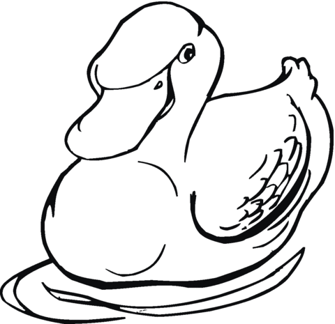 Duck 2 Coloring page