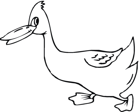 Duck 3 Coloring page