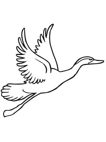 Duck Flying Away Coloring page