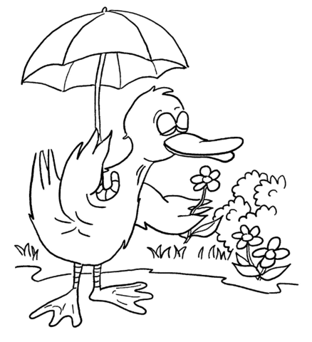 Duck with Umbrella Coloring page