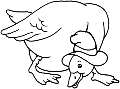 Duck With Hat Coloring page