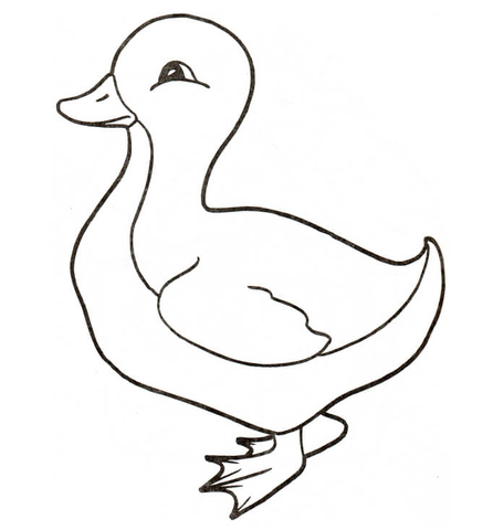 Duckling Coloring page