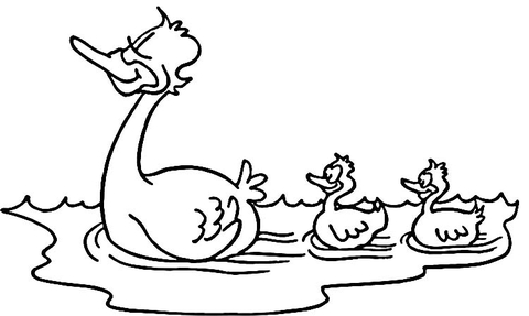 Ducklings  Coloring page