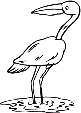 Heron Coloring page