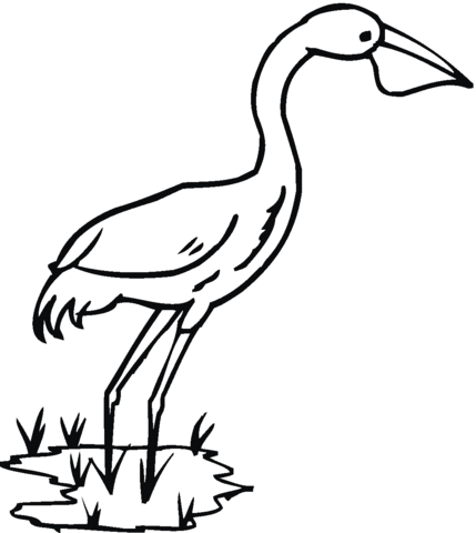 Heron bird Coloring page