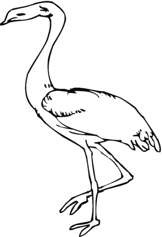 Heron Coloring page