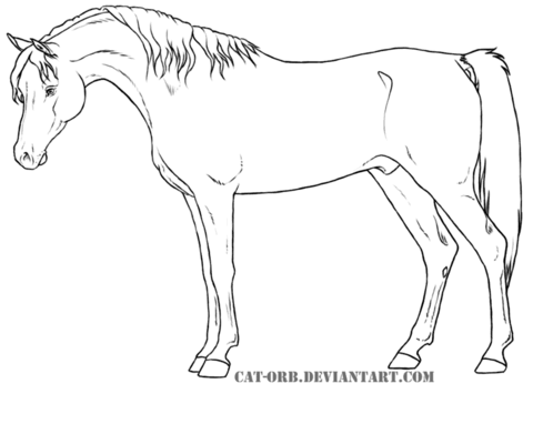 Egyptian Arabian Coloring page