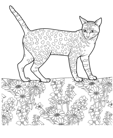 Egyptian Mau  Coloring page