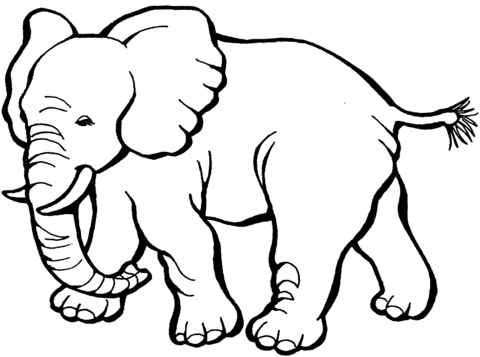 Elephant 12 Coloring page