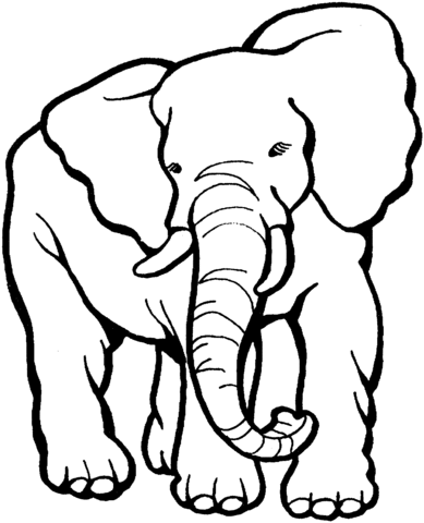 Elephant 9 Coloring page