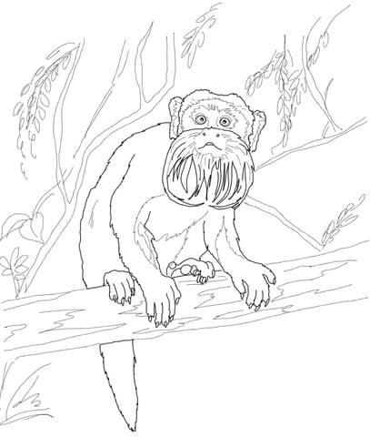 Emperor Tamarin on Tree Coloring page