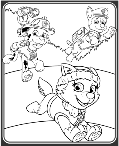 Everest, Marshall and Chase Coloring page