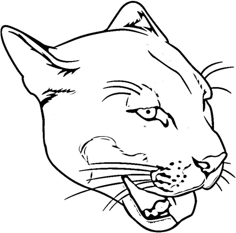 Face of Puma  Coloring page