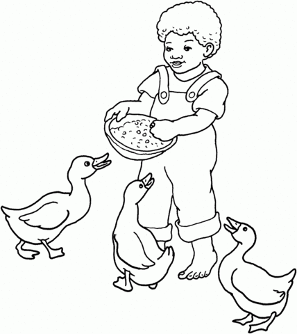 Boy Feeds Gooses Coloring page