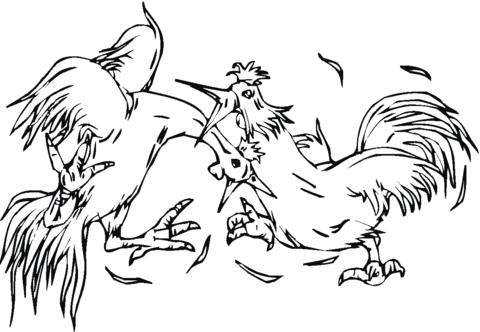 Fighting Roosters Coloring page