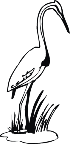 Lonely Egret Coloring page