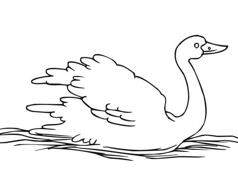 Floating Swan Coloring page