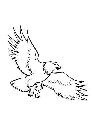 Soaring Bald Eagle Coloring page