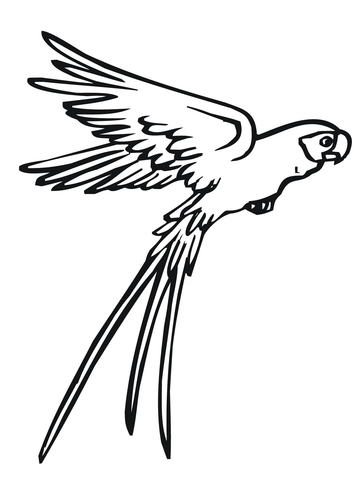 Flying Parrot Coloring page