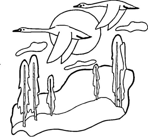 Flying Swans  Coloring page