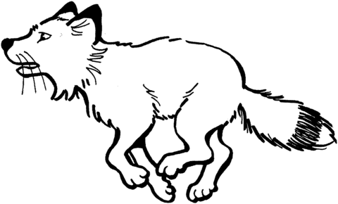 Red Fox Run Coloring page