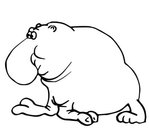 Funny Elephant Seal Coloring page