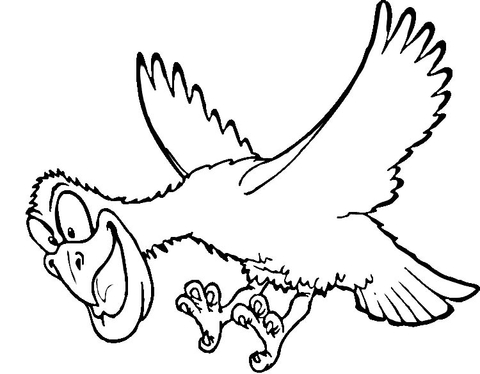 Funny Hawk  Coloring page