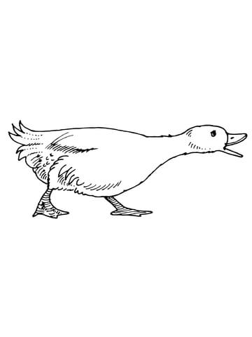 Quacking Geese Coloring page