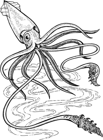 Deep-Ocean Giant Squid Coloring page